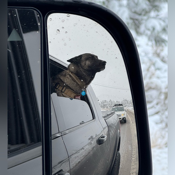 Meet your Posher, Alma - Picture 4 of 9